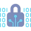 Data Encryption